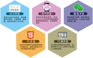 軟件開發技術服務 賦能企業數字化轉型的核心驅動力